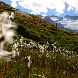 2015-07 Savoie/Lac blanc/DSC_0310.JPG